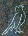 zangvogel voor volierehouder