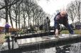 Roekenplaag in Heerewaarden in de Betuwe